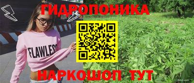 СК Славянск-на-Кубани