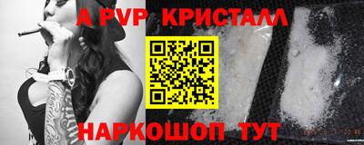 твердый Сланцы