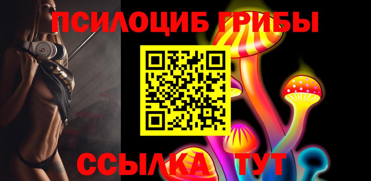 Россошь  Галлюциногенные грибы прущие грибы  Вход с VPN 